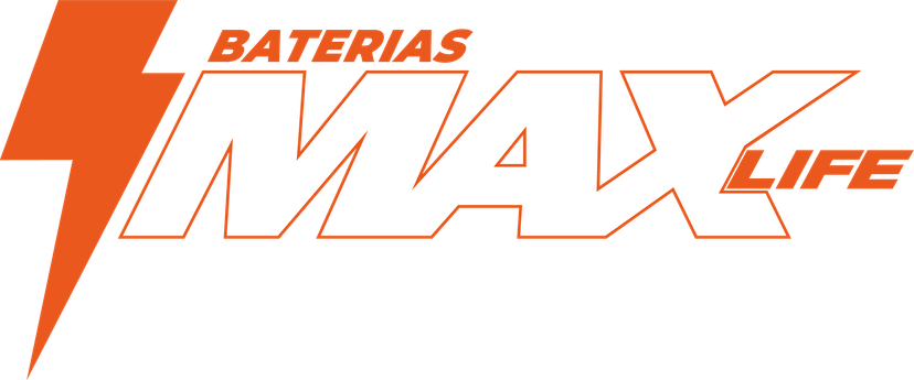 Max Life Logo