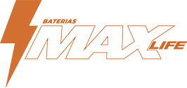 Logo Max Life